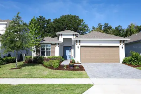 New construction Single-Family house 2289 Sirena Ln, Mount Dora, FL 32757 - image