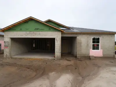 New construction Single-Family house 4959 Meadow Bay Ct, Wimauma, FL 33598 plan Sentinel - image