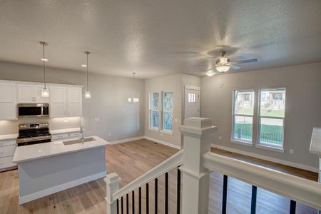 New construction Townhouse house 6248 Vernazza Wy, Windsor, CO 80550 plan Belmar - image 10