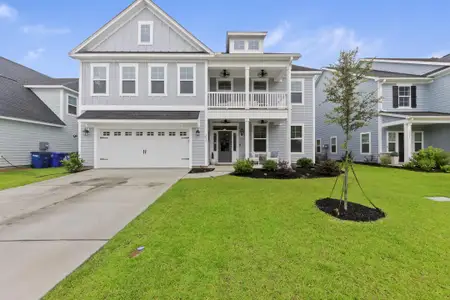 New construction Single-Family house 1017 Saltwater Cir, Johns Island, SC 29455 plan Webster - image