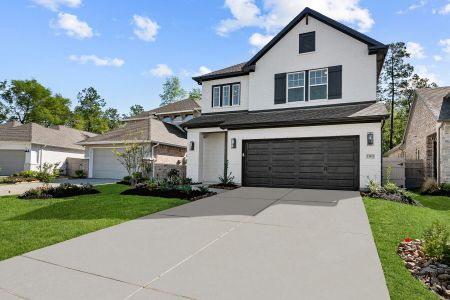 ARTAVIA 40' Homesites by David Weekley Homes in Conroe - photo 19 19