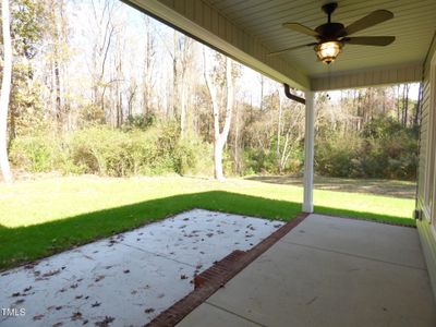 New construction Single-Family house 90 Blackberry Lane, Benson, NC 27504 - photo 26 26