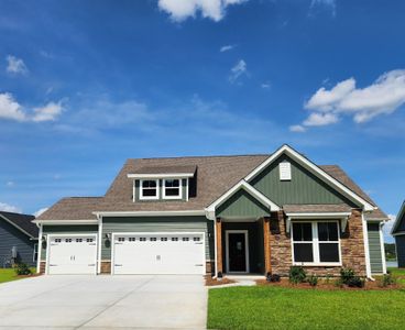 New construction Single-Family house 270 Darby Meadow Ln, Ridgeville, SC 29472 - photo 0