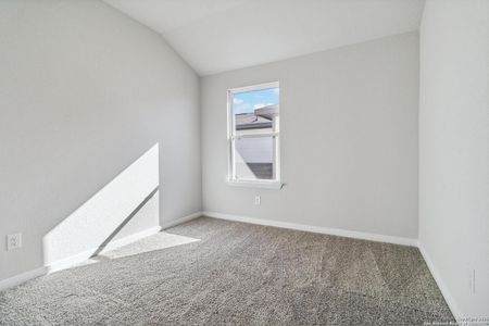 New construction Single-Family house 2910 Haffner Rd, Converse, TX 78109 Telluride- photo 19 19