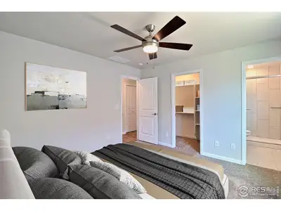 New construction Single-Family house 4327 Primrose Ln, Evans, CO 80620 - image 4