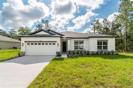 New construction Single-Family house 13101 72Nd Terrace Rd, Ocala, FL 34473 - image