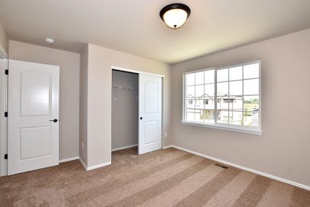 New construction Single-Family house 437 Vivid Ln, Windsor, CO 80550 null- photo 40 40