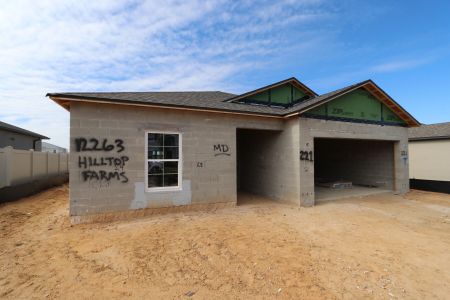 New construction Single-Family house 12263 Hilltop Farms Dr, Dade City, FL 33525 Sentinel- photo 46 46