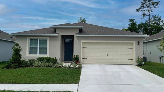 New construction Single-Family house 904 Bear Hammock Dr, Umatilla, FL 32784 null- photo 1 1