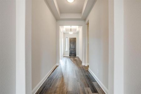 Hall featuring a tray ceiling and dark hardwood / wood-style floors