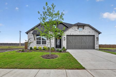 New construction Single-Family house 2431 Carpano Ln, McLendon-Chisholm, TX 75032 plan Monet - image