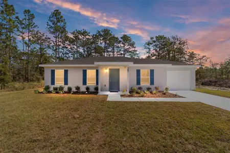 New construction Single-Family house 367 Sw Alvarez Rd, Dunnellon, FL 34431 - image