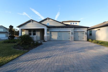 New construction Single-Family house 20112 Oriana Loop, Land O' Lakes, FL 34638 Corina  III Bonus- photo 115 115