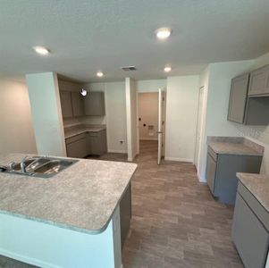 New construction Single-Family house 37 Packard Ln, Palm Coast, FL 32164 plan Royal - image 4