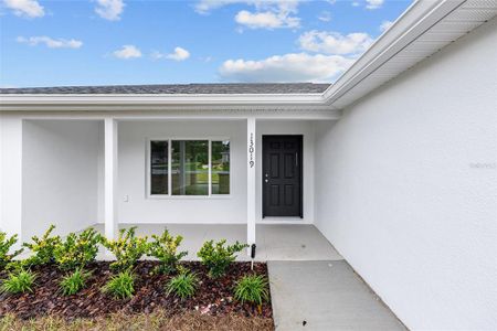 New construction Single-Family house 13019 NE 7th Lp, Silver Springs, FL 34488 - image