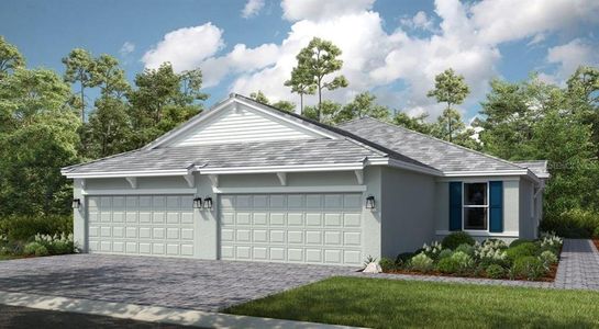 New construction Single-Family house 3123 Torta Ct, Bradenton, FL 34211 plan Ibis - image