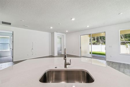 New construction Single-Family house 19669 Fort King Run, Brooksville, FL 34601 plan Elmwood - image 11