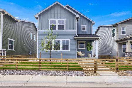 New construction Single-Family house 909 Nettle Ln, Fort Collins, CO 80524 plan Torrey Pine - image
