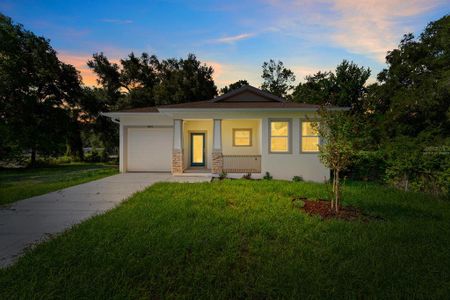 New construction Single-Family house 2915 Chipco St, Tampa, FL 33605 - image