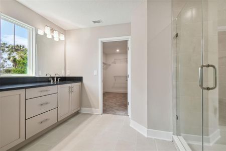 New construction Single-Family house 1522 W Arch St, Tampa, FL 33607 Fish Hawk- photo 5 5
