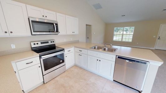 New construction Single-Family house NE Jacksonville Rd & NE 161st St, Citra, FL 32113 - photo 6 6