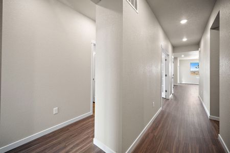 New construction Single-Family house 11924 Lost Peak Ln, Colorado Springs, CO 80925 plan Carnation - image 16