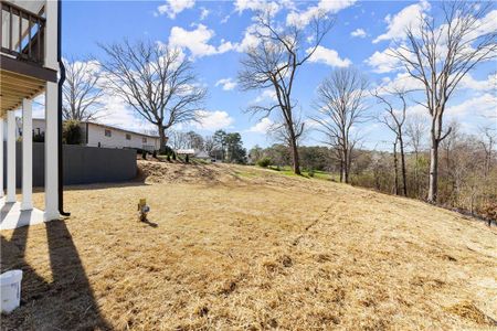 New construction Single-Family house 2801 Univeter Rd, Canton, GA 30115 null- photo 3 3