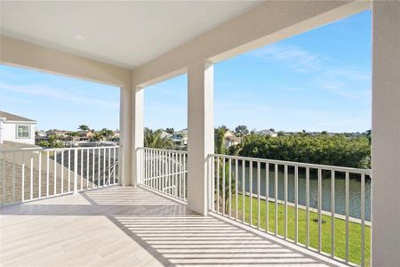 New construction Single-Family house 1070 Signet Drive, Apollo Beach, FL 33572 Carrara- photo 13 13