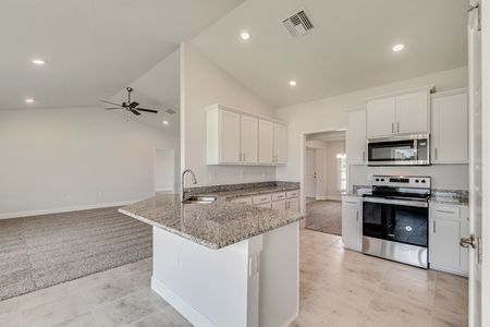 New construction Single-Family house 3404 N Michener Pt, Beverly Hills, FL 34465 null- photo 19 19