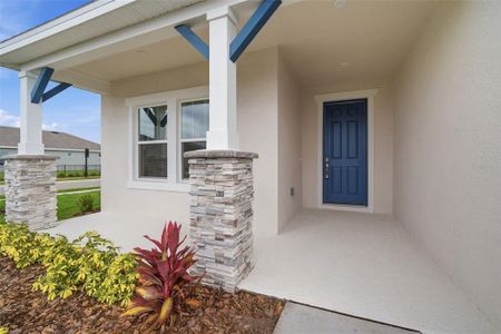New construction Single-Family house 11830 Richmond Trl, Parrish, FL 34219 plan Brighton 3.0 - image 18