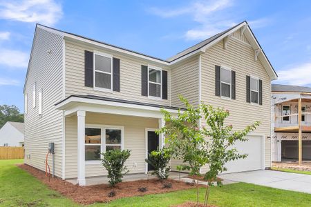 New construction Single-Family house 5363 Crinum Lily, Summerville, SC 29485 plan Monroe - image