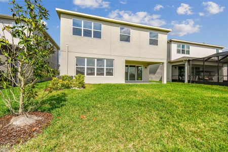 New construction Single-Family house 3033 Hollow Hickory Place, Wesley Chapel, FL 33543 - photo 43 43