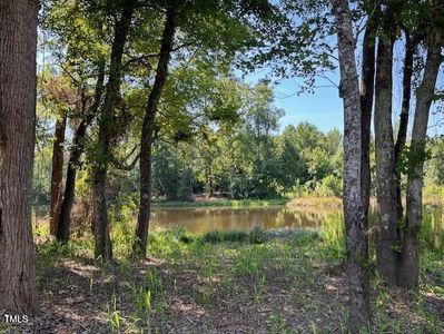 New construction Single-Family house 151 Pretty Run Branch Ln, Wendell, NC 27591 null- photo 35 35