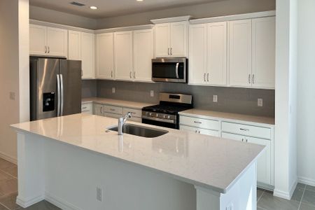 New construction Single-Family house 6821 Serpent Hawk Lane St, Howey-in-the-Hills, FL 34737 plan Hayden - image 9