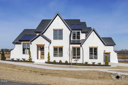 New construction Single-Family house 2917 New Hill Holleman Rd, New Hill, NC 27562 - image