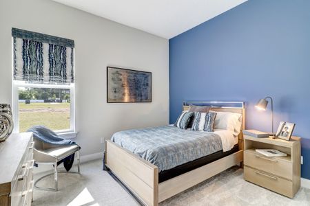 Sandy Bluff by SEDA New Homes in Yulee - image 13