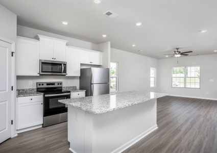 New construction Single-Family house 103 Rhino Bnd, Oxford, NC 27565 plan Birch - image 5