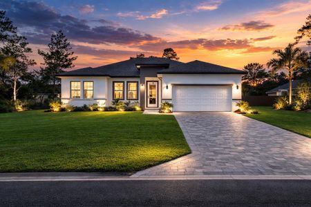 New construction Single-Family house 3773 Sw 161St Lp, Ocala, FL 34473 - image