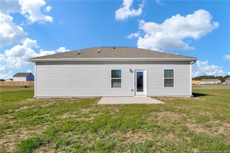 New construction Single-Family house 228 Double Barrel St, Lillington, NC 27546 Landen - photo 20 20