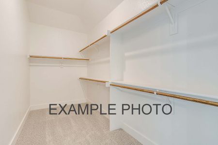 New construction Single-Family house 205 Marshall Dr, Springtown, TX 76088 plan The Iris - image 18