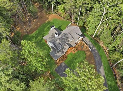 New construction Single-Family house 300 Rainmore Dr, Dahlonega, GA 30533 - image
