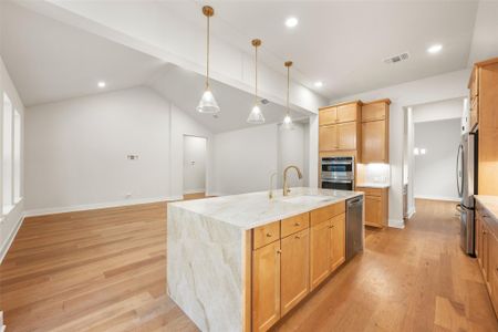 New construction Single-Family house 17225 Alta Madera Ln, Pflugerville, TX 78660 plan Palmer - image 15