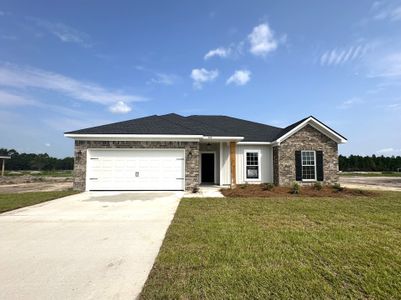 New construction Single-Family house Ludowici, GA 31316 plan The Jackson - image