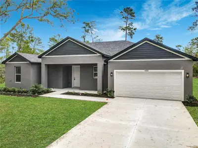 New construction Single-Family house 41260 Balsam St, Eustis, FL 32736 - image