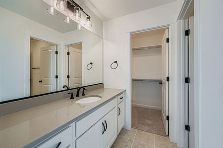 New construction Single-Family house 7906 Polson Dr, Colorado Springs, CO 80908 plan Plan C407 - image 13