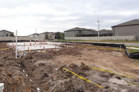 New construction Single-Family house 3070 Adams Cross Dr, Zephyrhills, FL 33540 Castellana- photo 5 5