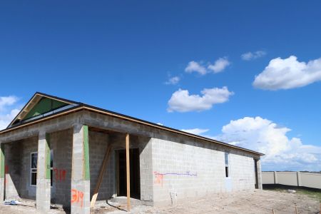 New construction Single-Family house 3064 Fall Harvest Dr, Zephyrhills, FL 33540 Picasso- photo 2 2