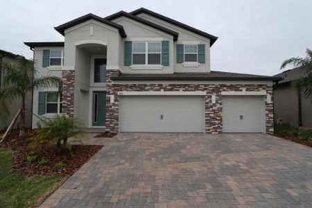 New construction Single-Family house 5036 Bromeliad Ave, Wimauma, FL 33598 Mira Lago- photo 39 39