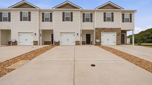 New construction Single-Family house 137 Holt Wy, Blountville, TN 37617 plan Mitchell Townhome - image