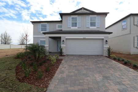 New construction Single-Family house 38350 Tobiano Loop, Dade City, FL 33525 Cabo- photo 118 118